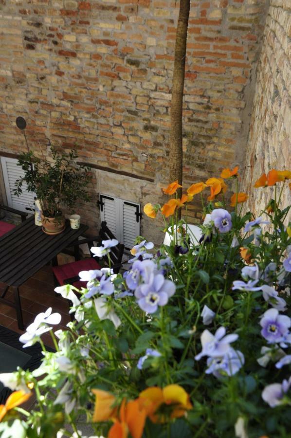 B&B Albornoz Urbino Kültér fotó